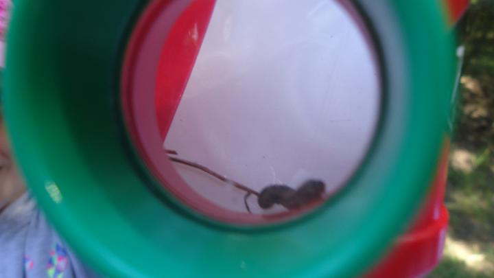 5 (15).JPG